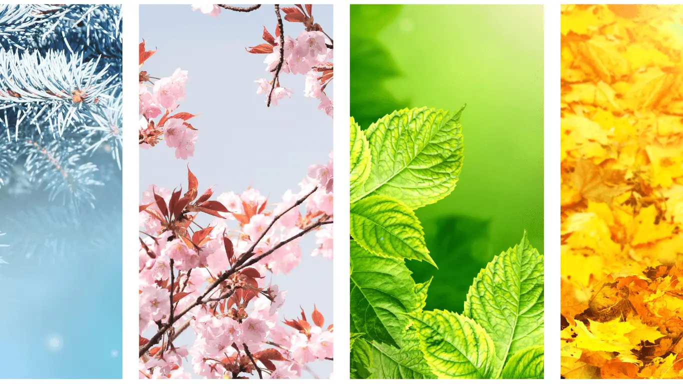 Seasonal Home Maintenance Checklist: Keeping Your Home in Top Shape Year-Round